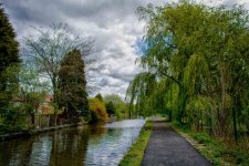 DSC_2323-Edit.jpg
