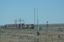 DSC_5933.jpg