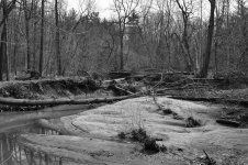 untitled shoot-0142.jpg