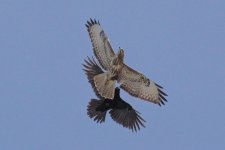 _DSC6766.jpg