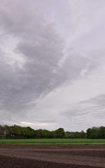 _DSC6803.jpg