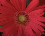 _AAA4956 - Version 2.jpg