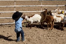 young-cowboy-cr.jpg