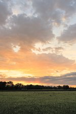 _DSC6819.jpg