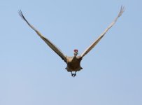 DSC_1640.jpg