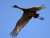 DSC_1644.jpg