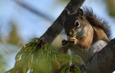 DSC_1562.jpg