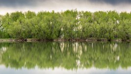 Landscape-2.jpg