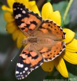 FSC_9968.jpg