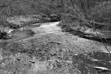 untitled shoot-0116.jpg