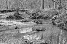 untitled shoot-0159.jpg