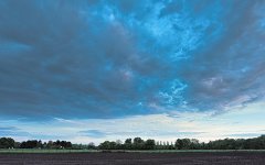 _DSC6817.jpg
