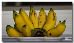 banana-plate.jpg
