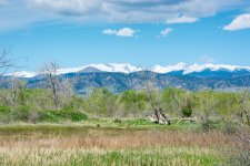Landscape-3.jpg