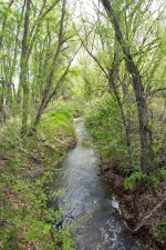 Landscape-5.jpg