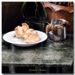 snail-rain-1.jpg