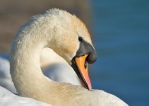 DSC_9760.jpg