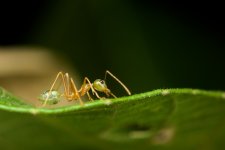 DSC_9819.jpg