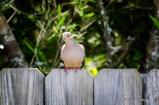 DSC_0028.jpg