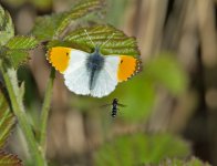 DSC_9873.jpg