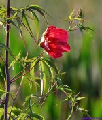 DSC_8882_01.JPG