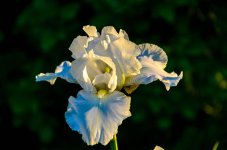 untitled-3542.jpg