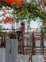 people-at-work-1.jpg