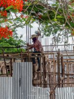 people-at-work-3.jpg