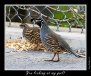 DSC_7622_Web.jpg