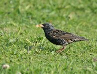 DSC_0013.jpg