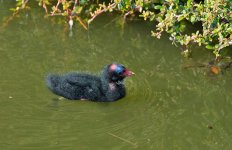 DSC_0056.jpg