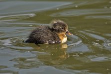 DSC_9975.jpg