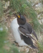 DSC_4407.jpg