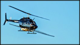 DSC_5636.jpg