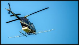 DSC_5564.jpg