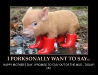 HAPPY-MOTHERS-DAY-CUTE-MINI-PIG-HUMOR.jpeg.jpg