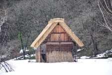 DSC_0136.jpg