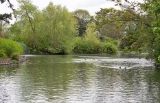 DSC_1158.jpg