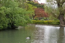DSC_1159.jpg