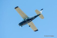 D71_3877.jpg