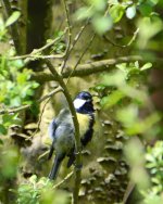DSC_0043.jpg
