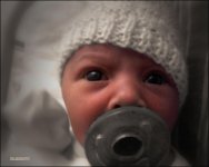 Baby Sage.jpg