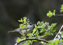 DSC_0075.jpg