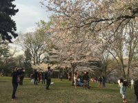 High-Park.jpg
