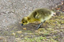 DSC_1180.jpg