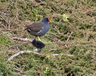 DSC_1218.jpg