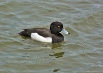 DSC_1269.jpg
