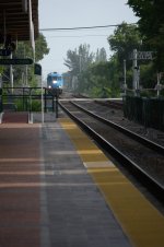 _71D0506.jpg