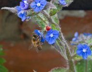 DSC_1295.jpg