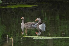 DSC_0098.jpg